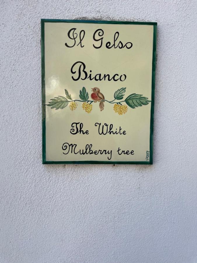 Il Gelso Bianco -The White Mulberry Tree Villa Ravello Exteriör bild